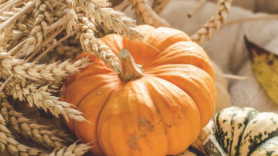 Noche comunitaria del Festival de Otoño